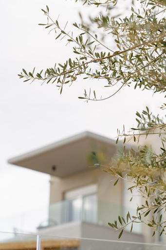 Others 5, PETRA Luxury Villas, Central Greece