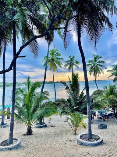 Beach 3, Kudah Bay Surf Hotel, Pothuvil