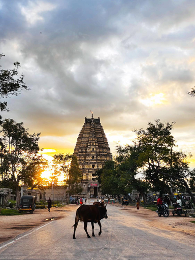 Others 3, Reddy home stay, Bellary