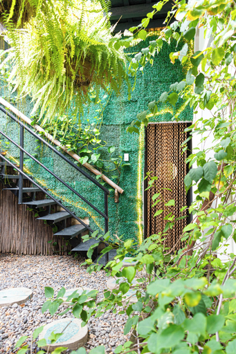 Property grounds, Musa Paradisaca Lodging, Santa Marta (Dist. Esp.)