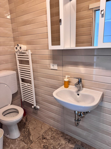 Bathroom 2, Ljubljana rest nest, Ljubljana
