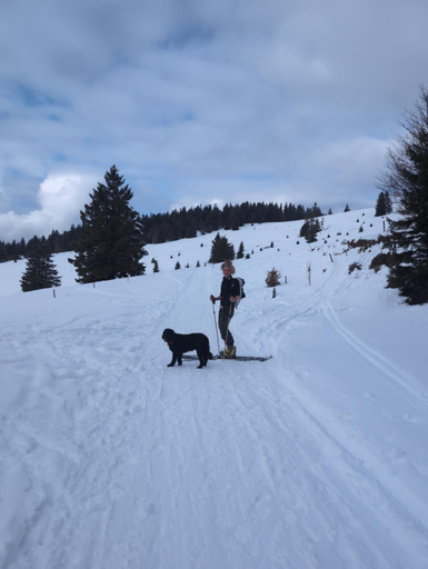 Others 4, HAUS AM SEE - Natur Pur, Breisgau-Hochschwarzwald