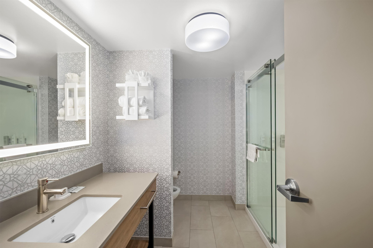 Bathroom 4, Hampton Inn & Suites Ft. Lauderdale West-Sawgrass/Tamarac, Broward