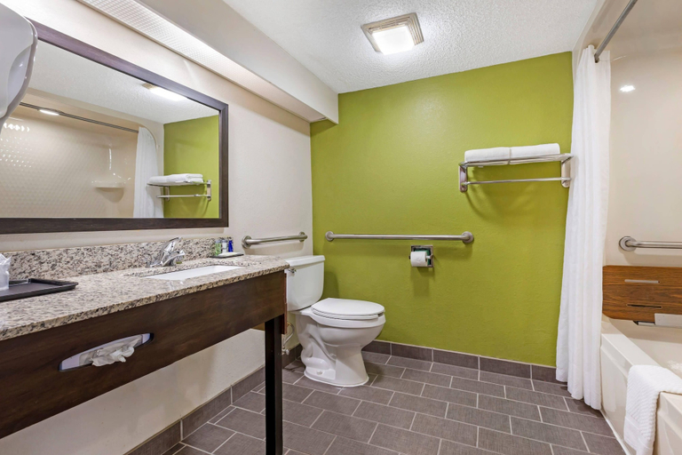 Bathroom 5, Sleep Inn at Greenville Convention Cente, Greenville