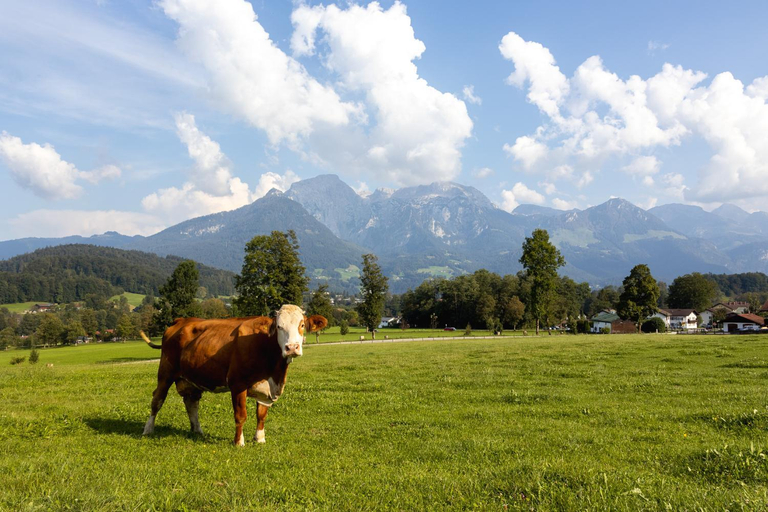Others 2, Ferienwohnung Hirnsberglehen, Berchtesgadener Land