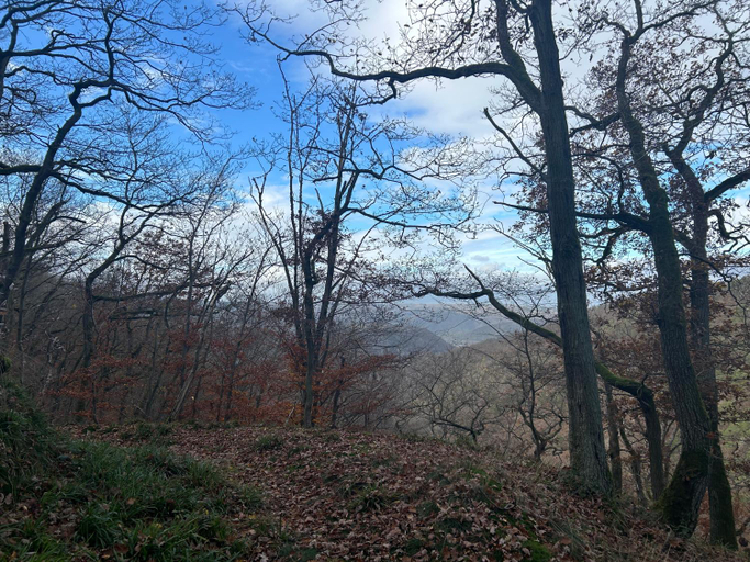 Others 4, Burg Liebenstein, Rhein-Lahn-Kreis