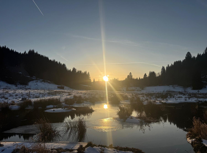 Others 5, HAUS AM SEE - Natur Pur, Breisgau-Hochschwarzwald