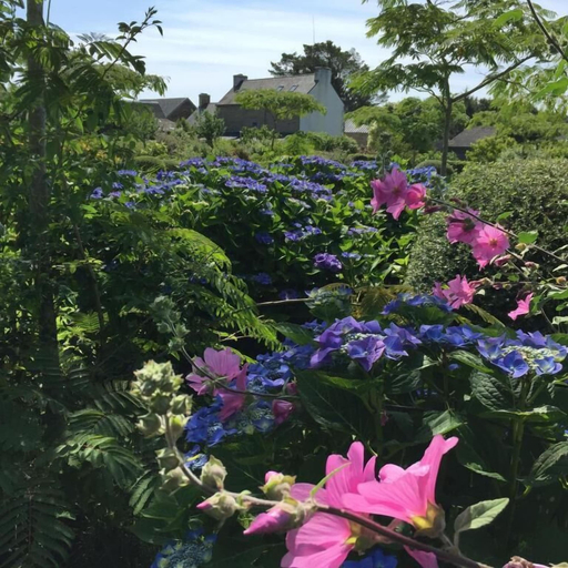 Garden view 4, Les 3 Koïs, Finistère