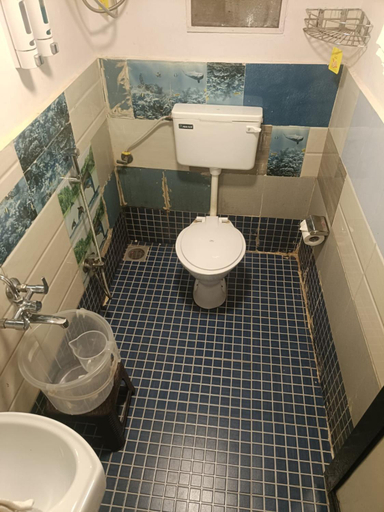 Bathroom 4, Flora Ecostay, Pune