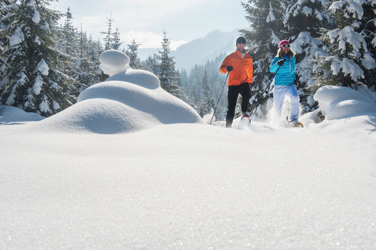 Snowshoeing, Springhill Suites By Marriott Steamboat Springs, Routt