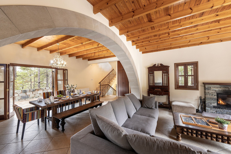 Others 5, Troodos Mature Pine Chalet