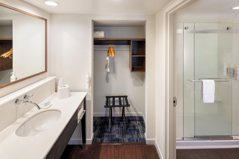 Bathroom 4, Hampton Inn & Suites Asheville Airport, Buncombe