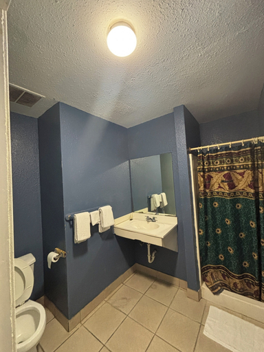 Bathroom 4, Hiway Inn, Houston