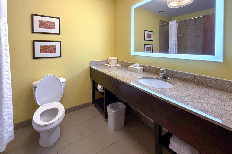 Bathroom 4, Comfort Inn & Suites Rogersville, Hawkins