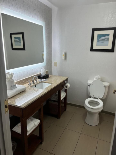 Bathroom 4, Comfort Inn & Suites Dayton Northwest - Englewood, Montgomery