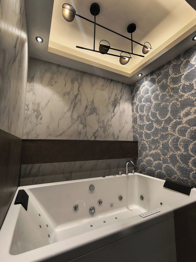 Bathroom 5, Sayaji Raipur, Raipur