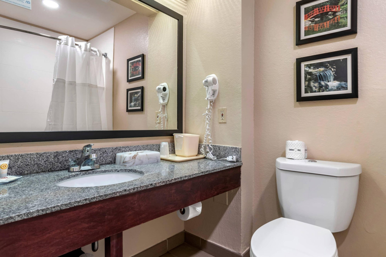Bathroom 4, Comfort Inn Birmingham - Irondale, Jefferson