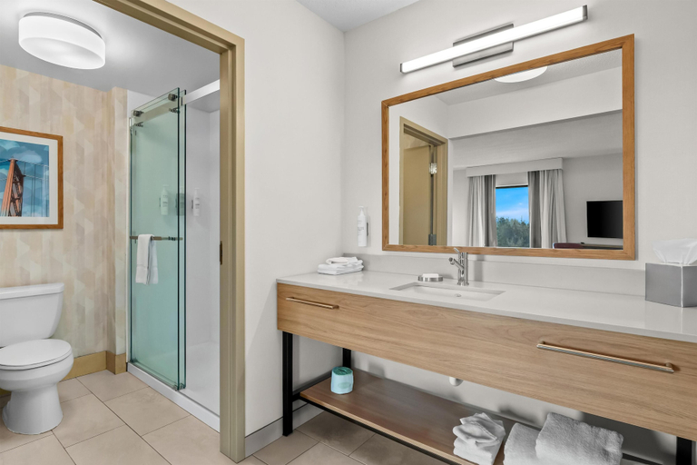 Bathroom 4, Hampton Inn & Suites Detroit-Canton, Wayne