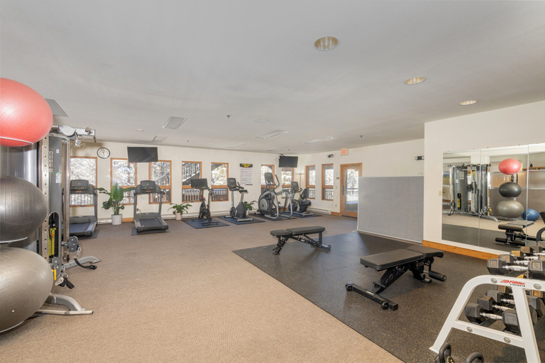 Fitness facility, Bear Creek Lodge 109b 1 Bedroom Hotel Room, San Miguel