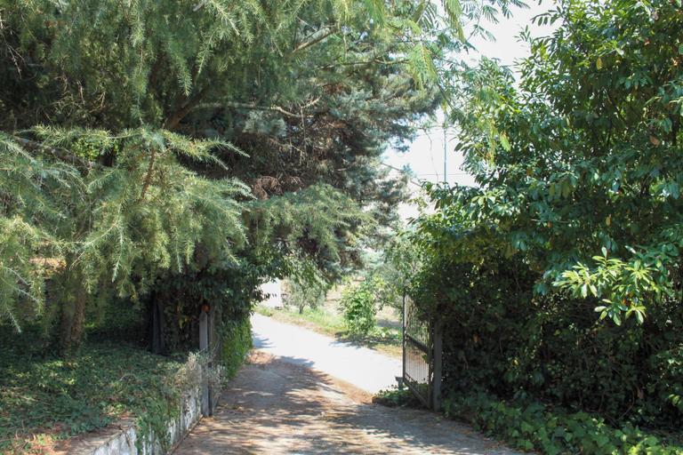Exterior 2, La Masseria, Avellino