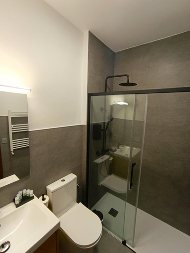 Bathroom 4, Casa del Medico, Madrid