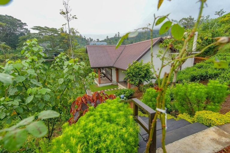Property grounds 4, La Casa Lindula Nuwara Eliya, Nuwara Eliya