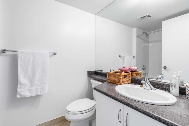 Bathroom 2, Downtown Manors, Toronto