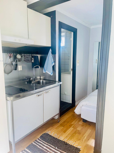 Others 4, Central studio apartment, Bergen