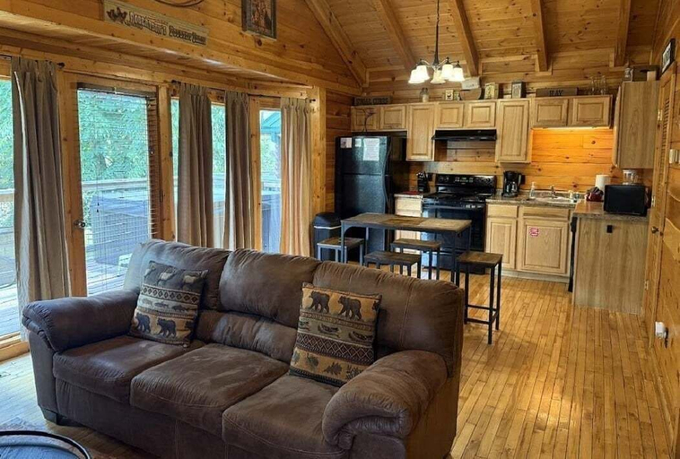 Living area 5, Hanky Panky 1 Bedroom Cabin, Sevier