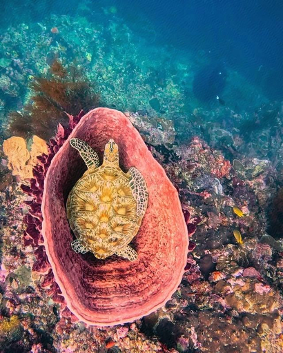 Others 2, Santiri Island Resort