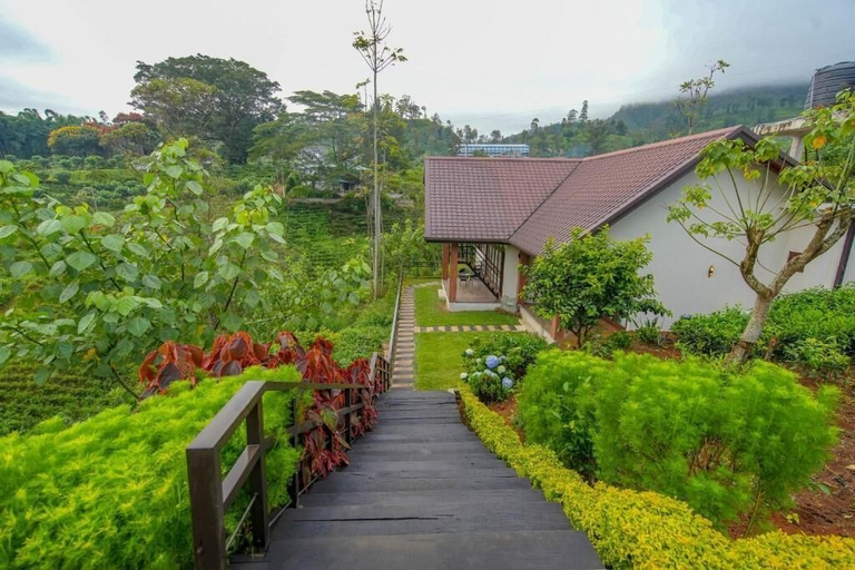 Property grounds 2, La Casa Lindula Nuwara Eliya, Nuwara Eliya