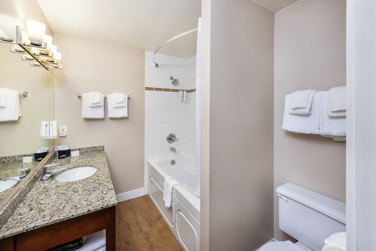 Bathroom 4, Quality Inn & Suites, Greater Vancouver