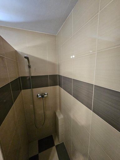Bathroom 4, Sunny Pool Apartments, Jasenice