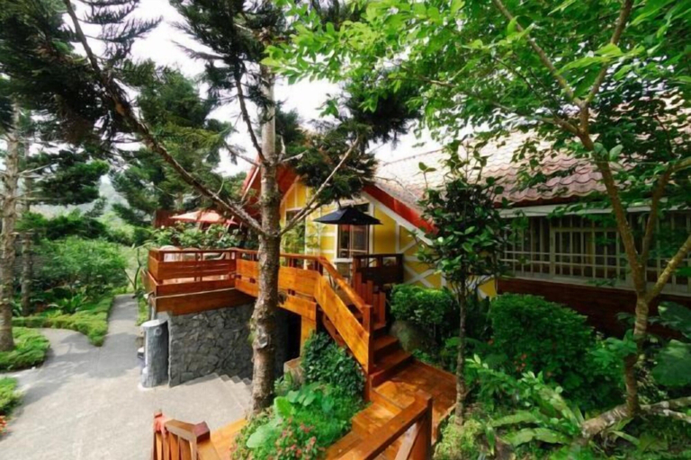 Garden, Shin Ming Shan, Nantou
