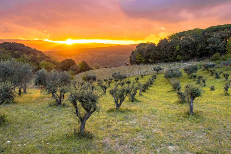 Room 4, Mare Sorriso 900m From Sea, Lucca