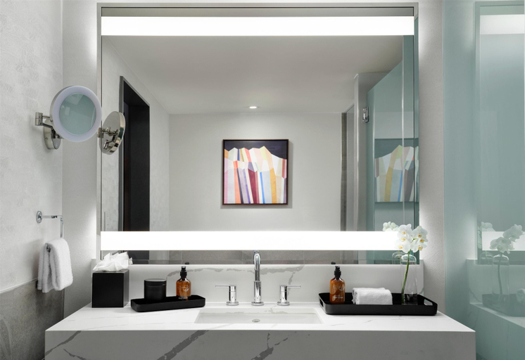 Bathroom 5, Hotel Alpenrock Breckenridge, Curio Collection by Hilton, Summit