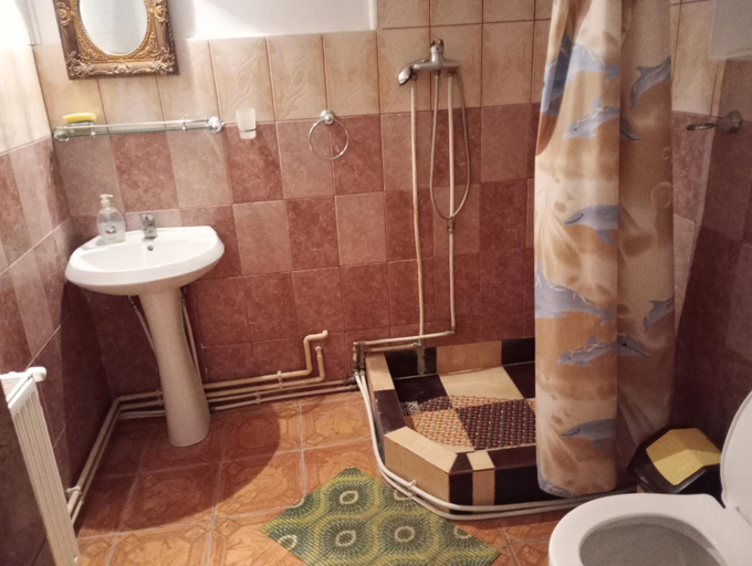 Bathroom 3, Pensiunea Irina 3, Zarnesti