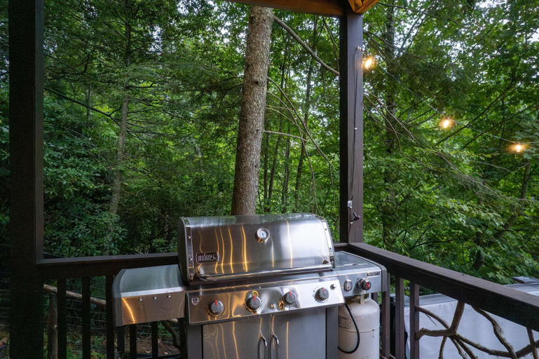 Room 4, 10 Min to Downtown Cashiers 5 Min to Silver Run, Jackson