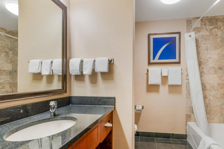 Bathroom 5, Drury Plaza Hotel St. Louis Brentwood, Saint Louis