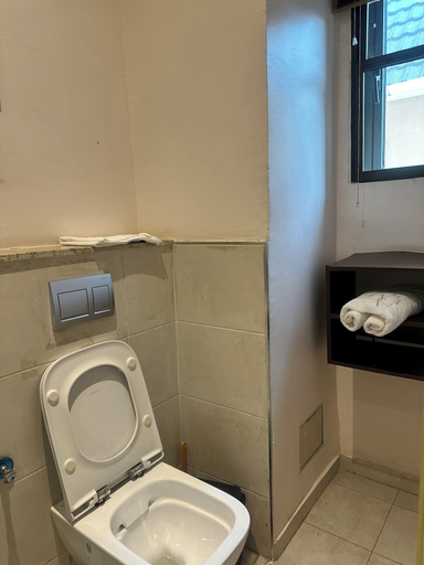 Bathroom 2, Vievely Suites and Apartments, Mushin