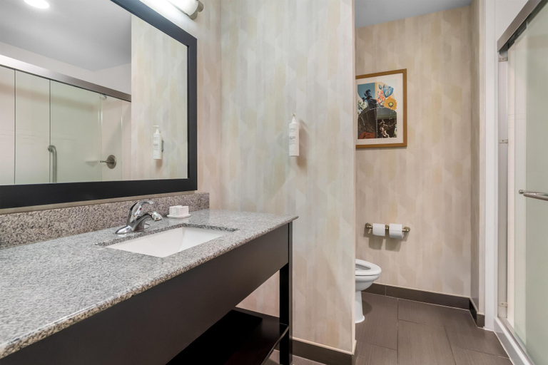 Bathroom 4, Hampton Inn Marion, Crittenden