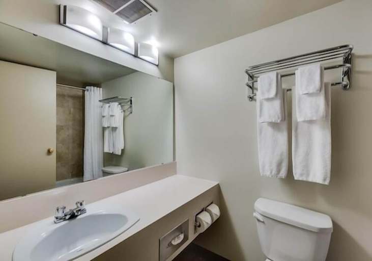 Bathroom, Heritage Inn Hotel & Convention Centre Moose Jaw, Division No. 7