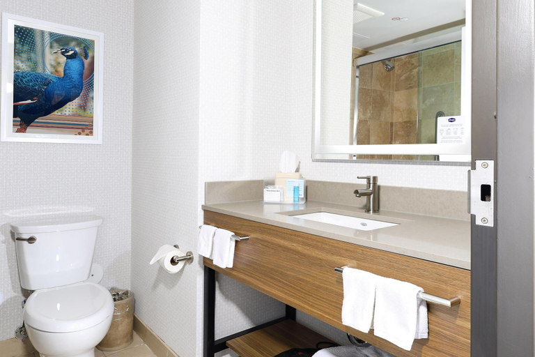 Bathroom 5, Hampton Inn Miami-Coconut Grove/Coral Gables, Miami-Dade