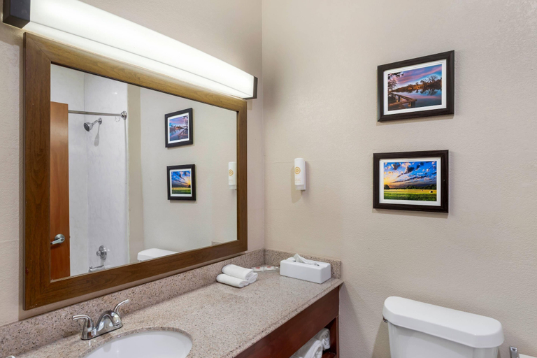 Bathroom 5, Comfort Suites Brenham, Washington