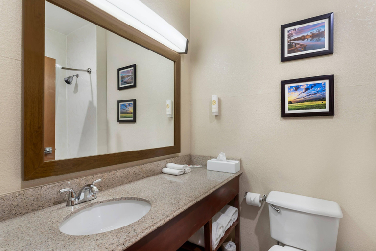 Bathroom 5, Comfort Suites Brenham, Washington