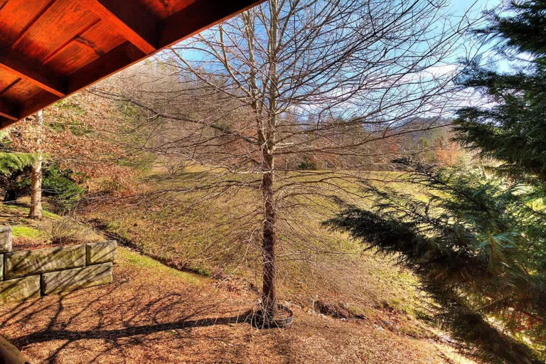 Room 2, Snuggle Up Cabin by Beyond Expectations With Hot Tub, Sevier