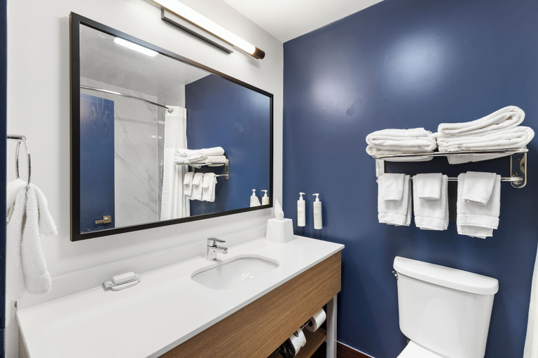 Bathroom 4, Spark by Hilton Abingdon I-81 near Fairgrounds, Washington