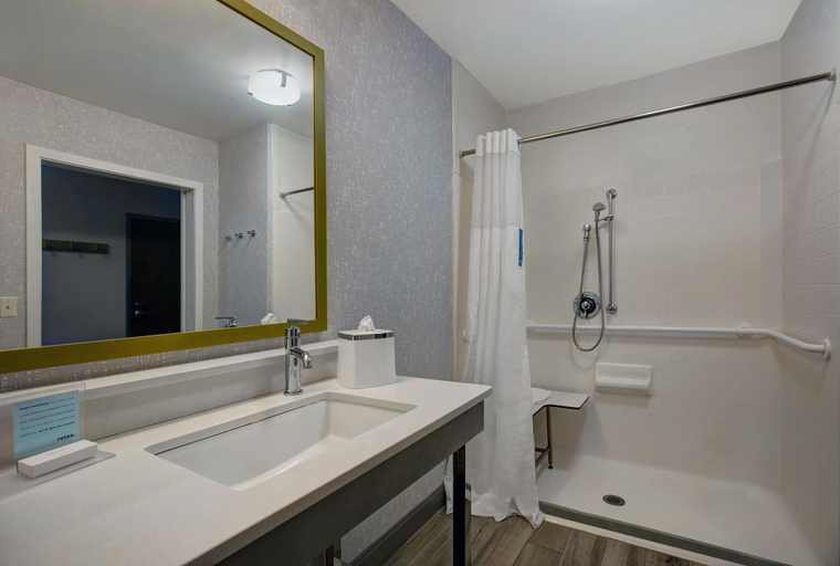 Bathroom 5, Hampton Inn Westfield, Hampden
