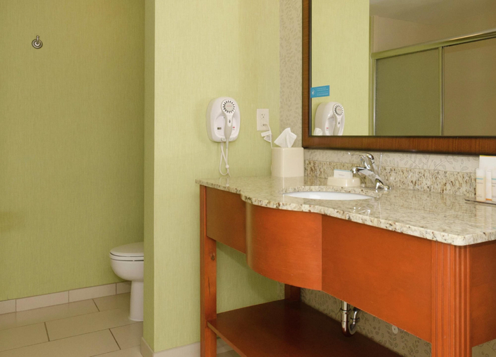Bathroom 5, Hampton Inn Hickory, Catawba