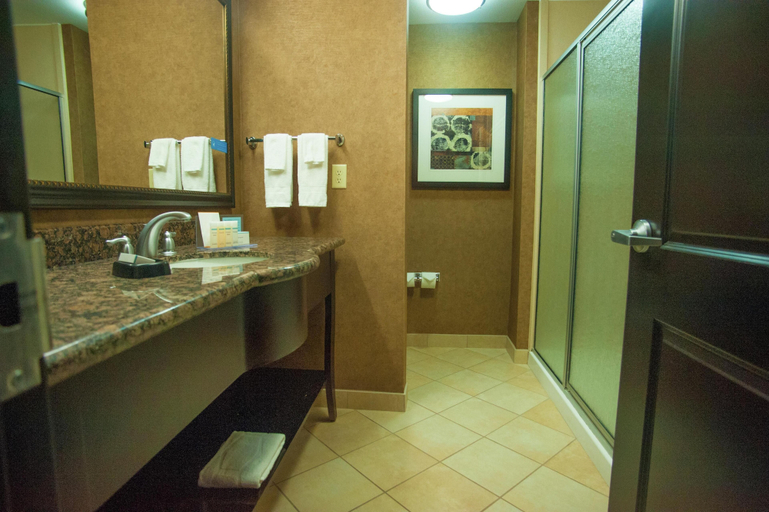 Bathroom 4, Hampton Inn & Suites Palestine, Anderson